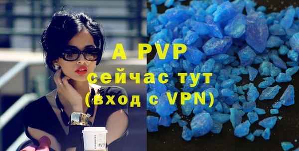 амф Пересвет