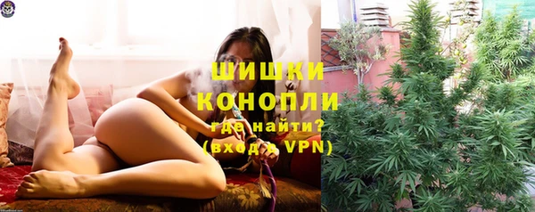 амф Пересвет