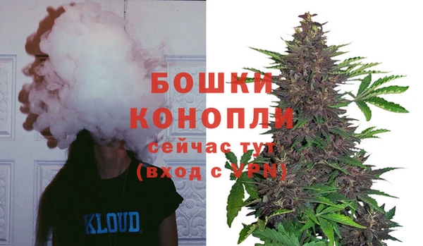 мескалин Переславль-Залесский