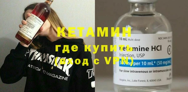 дживик Ельня